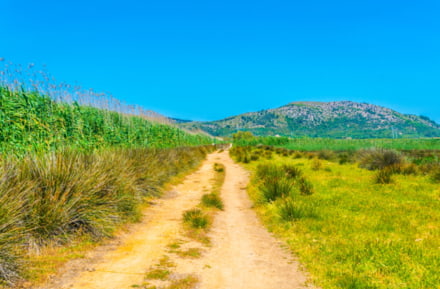 Parque Nacional Albufera