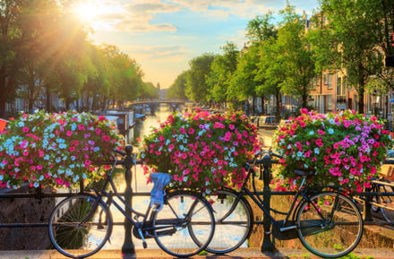Bicycles at a canal in Amsterdam