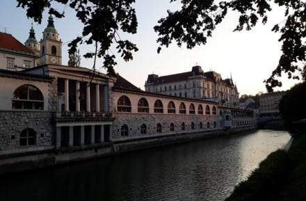 rivière crépuscule Ljubljana