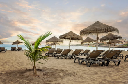 Playa de Torviscas