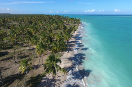 Playas con palmeras en Maragogi