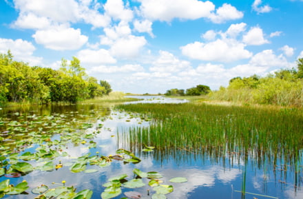 Everglades National Park