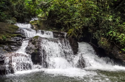 Cascades au Parc d'Etat de Cantareira Sao Paulo