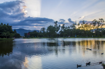 Lake in Parc La Sabana in San José