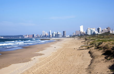 Coast of Durban