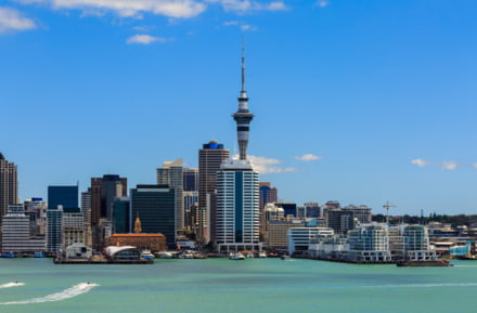 rental car new zealand