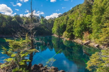 Conguillío Nationaal Park