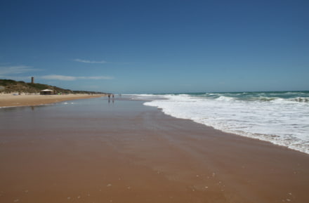 Playa de la Barrosa, Spanien
