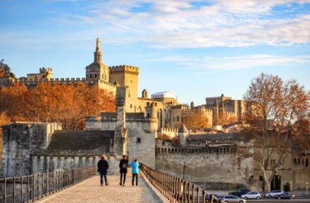 Aussichtspunkt Pont Saint-Bénézet
