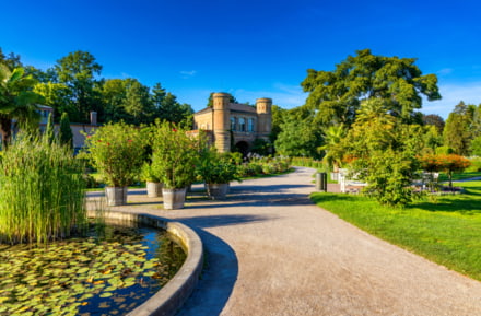 Karlsruhe in Autumn