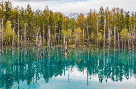 Shirogane Blue Pond