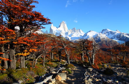 Vista del Monte Fitzroy, Argentina