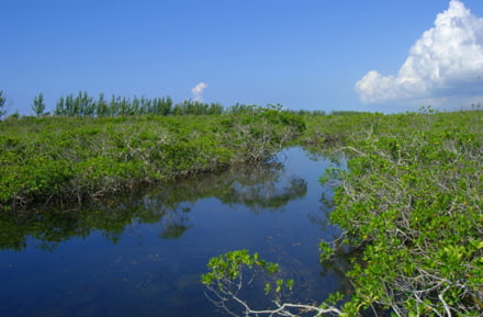 Lucian Nationalpark auf den Bahamas