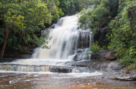 cascade Parc national de Brisbane Water près de Sydney