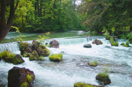 Englischer Garten