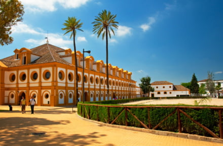 Escuela de equitación en Jerez