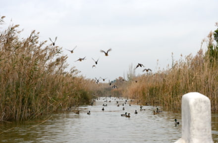 Parque Natural Albufera