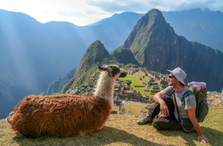 Man met Lama in Machu Picchu