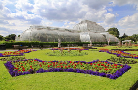 Royal Botanic Gardens London