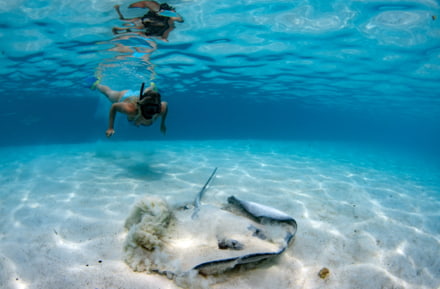 Snorkeling in Polinesia Francese