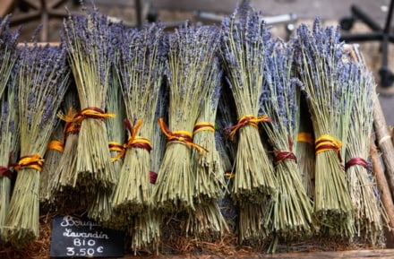Bauernmarkt in Aix-en-Provence