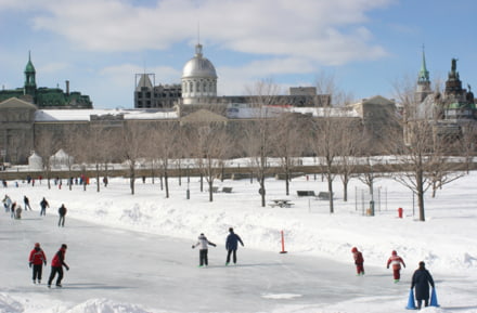 montréal enneigée patinoire