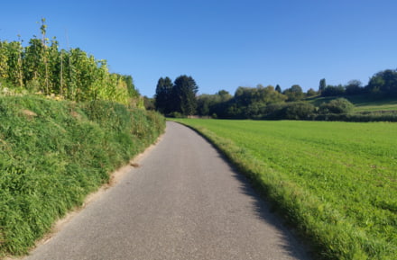 Pista ciclabile vicino a Offenburg