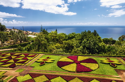 Botanischer Garten in Madeira