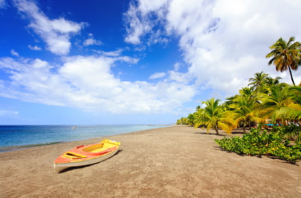 Mit dem Mietwagen auf Martinique