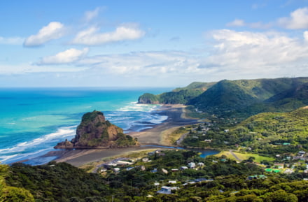 Piha Beach in Auckland