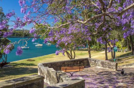 Sydney in het voorjaar