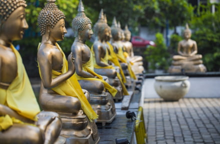 Tempio di Colombo, Sri Lanka