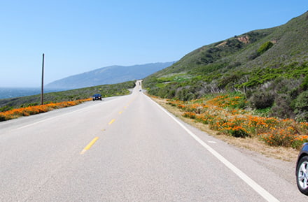 Viaggio in California