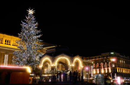 Christmas Market in Stuttgart