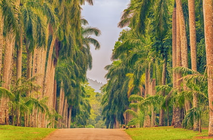 Noleggia un'auto a Sri Lanka