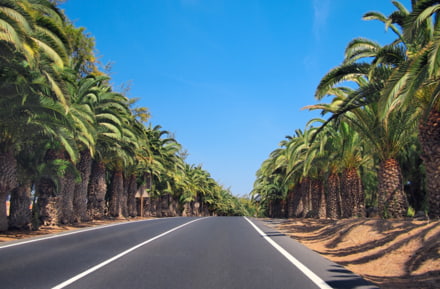 Carretera en Fuerteventura