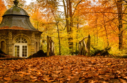 Bayreuth in de herfst