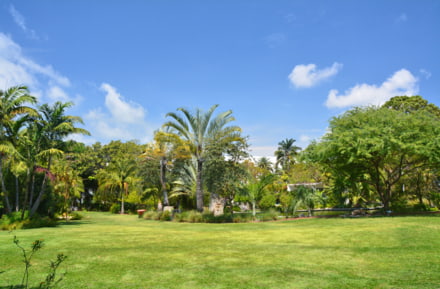 Miami Beach car rental