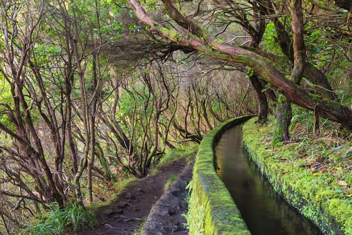 Levada Wanderweg