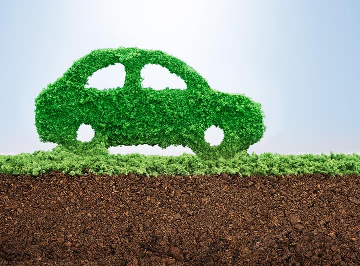 Auto aus Gras