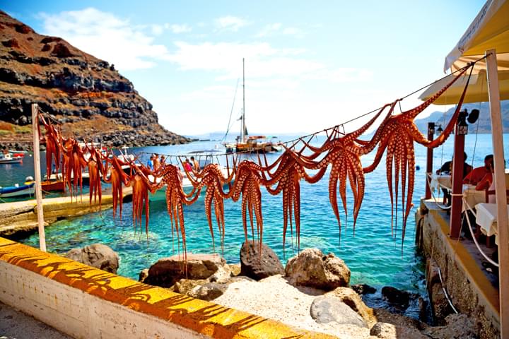 Oktopusse zum Trocknen aufgehängt, Santorin