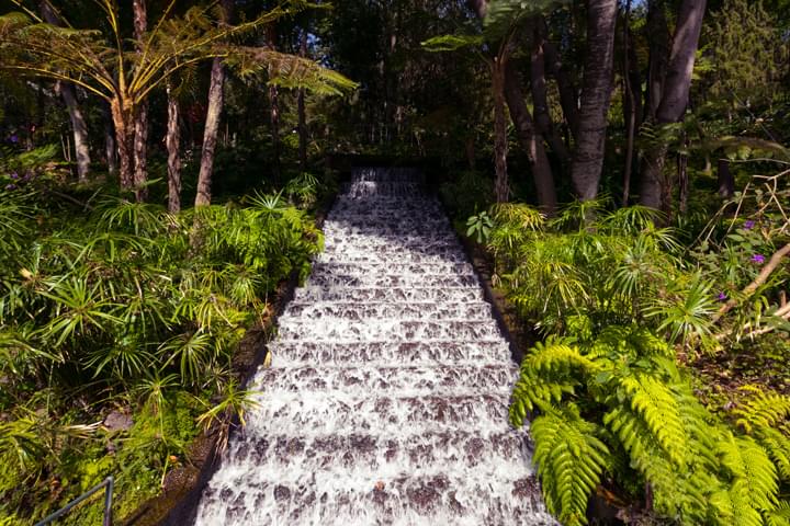 Cascada en el Parque Natural de Madeira