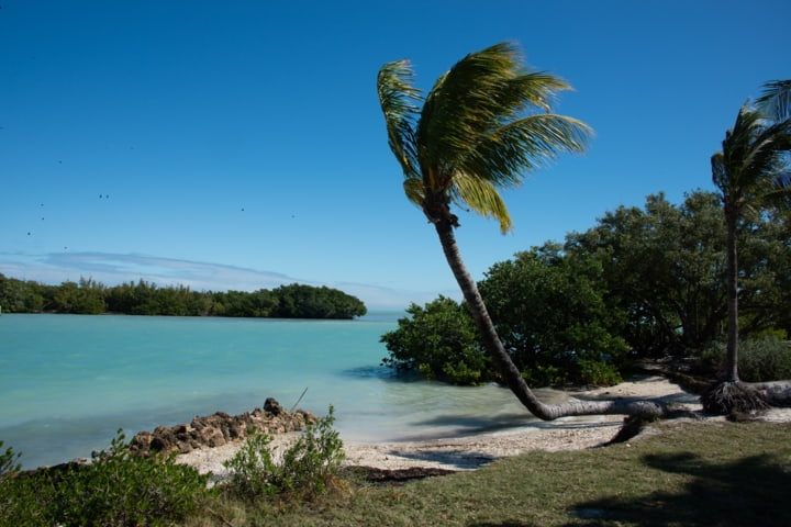 Biscayne Nationalpark