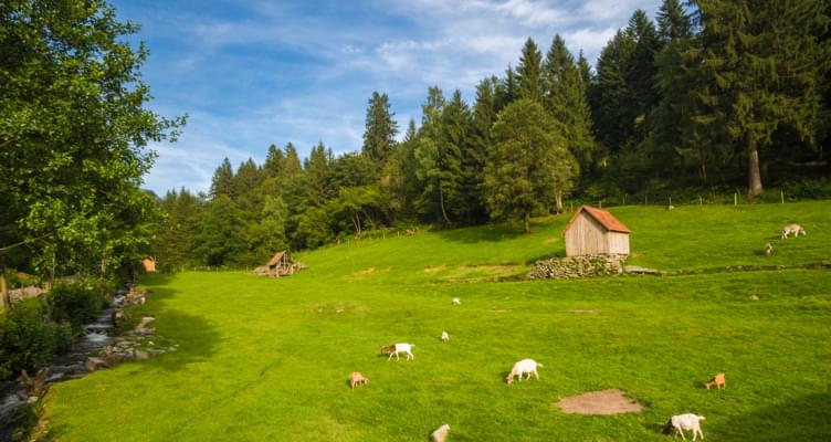 Mietwagen Spritztour Schwarzwald: Das idyllische Murgtal