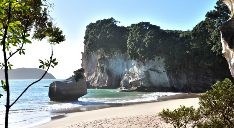Mietwagenreise Neuseeland: Adrenalin, Robben und kristallklares Wasser