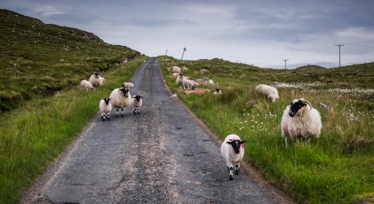 Roadtrip Schottland: Eine Reise mit Hindernissen
