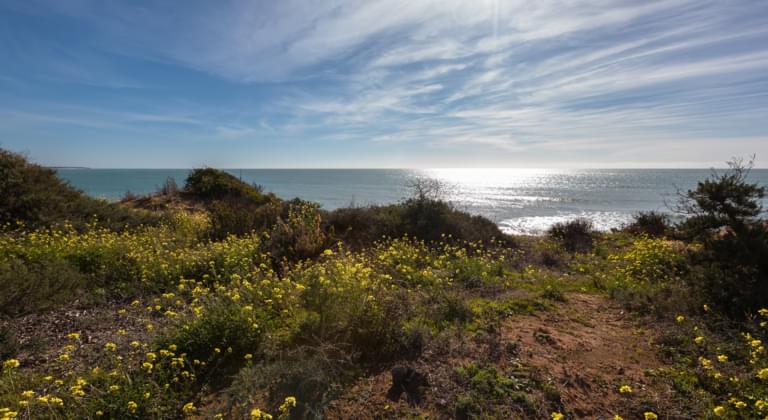 Chiclana de la Frontera
