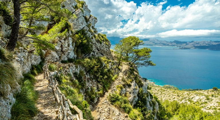 Alcúdia mit dem Mietwagen: Die schönsten Ausflüge in der Umgebung