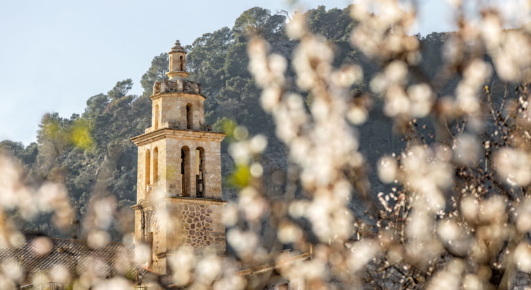 Roadtrip durch das ländliche Mallorca zur Mandelblüte
