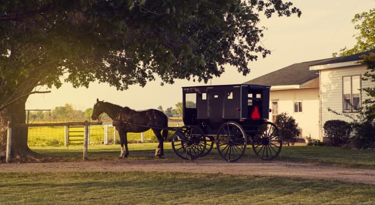 Ein besonderer Road-Trip ins Amish Country